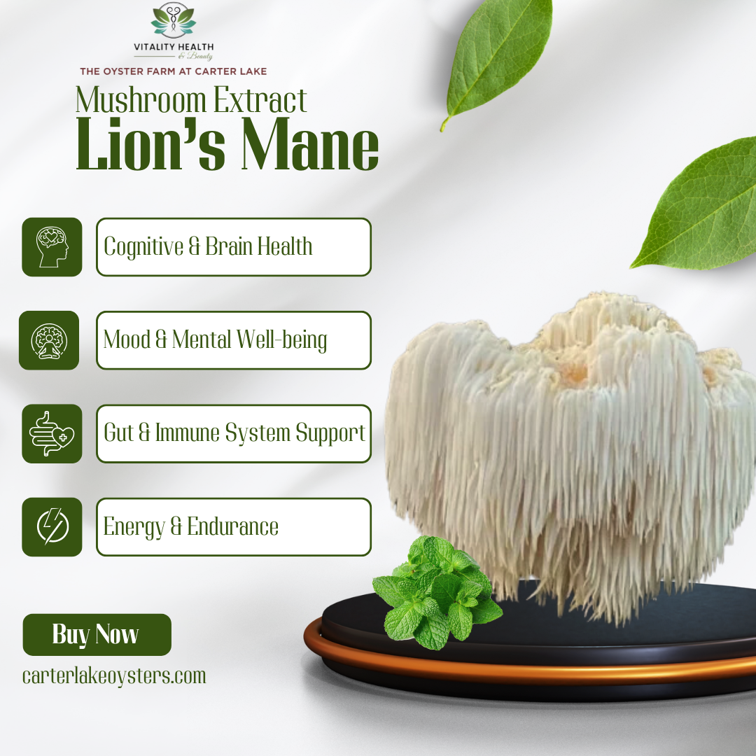 Lion's Mane Mushroom Extract
