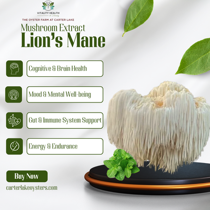 Lion's Mane Mushroom Extract
